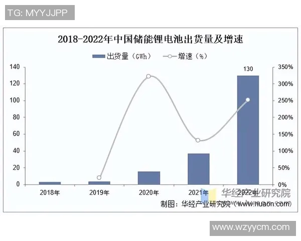 八一双鹿电池在国际市场的崛起与美国竞争的全景分析