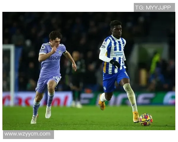 利兹联与布莱顿对决分析双方近期状态与战术布置探讨